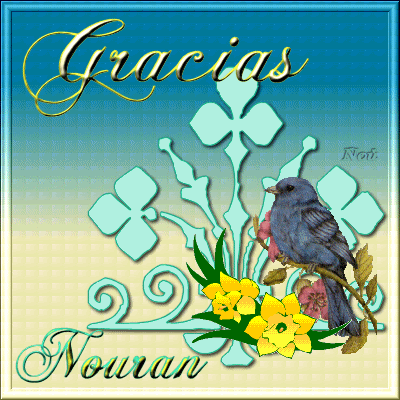 Nougraciasbird.gif picture by dreamgirly5