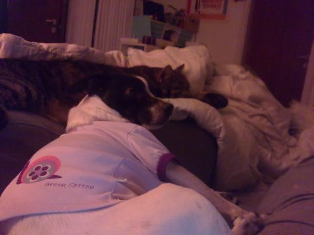 01012012299.jpg