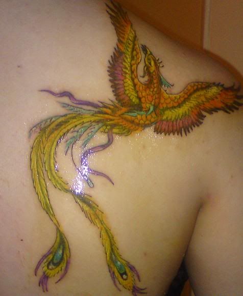 Got my Phoenix tattoo today