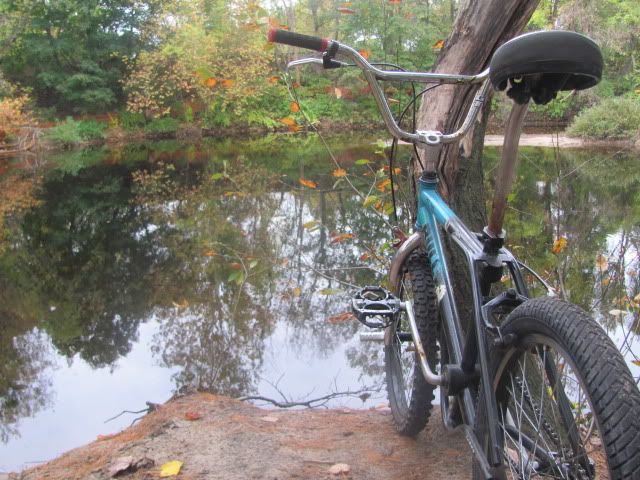 http://i243.photobucket.com/albums/ff112/drk420/10-23-11017.jpg