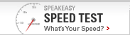 Speakeasy Speedtest