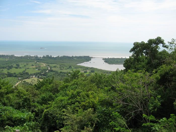 Veracruz Landscape