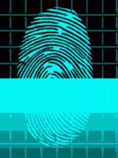 Fingerprint Pictures, Images and Photos