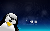 th The choice to be free 2560x1600 Wallpapers de Lunes