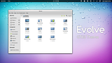 Evolve - GTK3 Theme