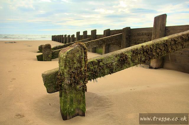 IMAGE: http://i243.photobucket.com/albums/ff140/Trugga_bucket/Holiday%202011/Holiday201100011.jpg