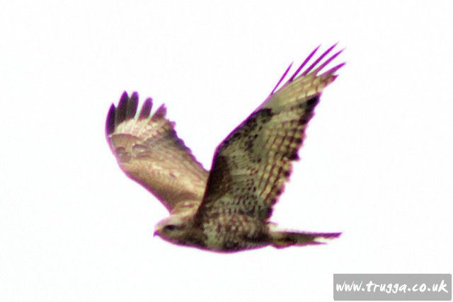 IMAGE: http://i243.photobucket.com/albums/ff140/Trugga_bucket/Holiday%202011/Holiday201100029.jpg