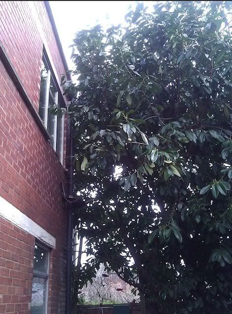 IMAGE: http://i243.photobucket.com/albums/ff140/Trugga_bucket/Miscellaneous/wall.jpg