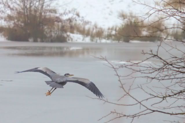 IMAGE: http://i243.photobucket.com/albums/ff140/Trugga_bucket/canon/2012_02_05_0681-2.jpg