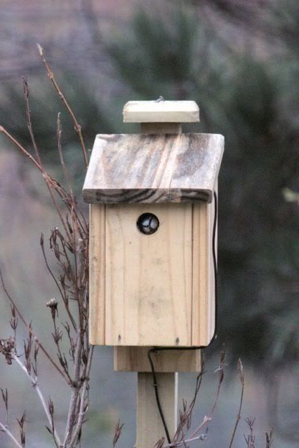 IMAGE: http://i243.photobucket.com/albums/ff140/Trugga_bucket/canon/2012_02_12_1316-1.jpg