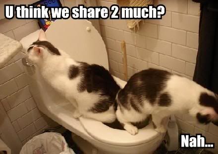 share 2 much