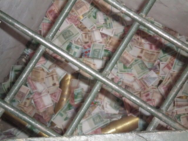 Pilt