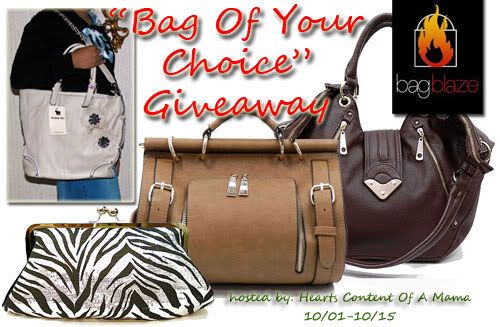 bagblaze-bag-of-your-choice-giveaway