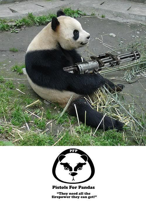 http://i243.photobucket.com/albums/ff169/Lougee2315/pandas-need-guns.jpg