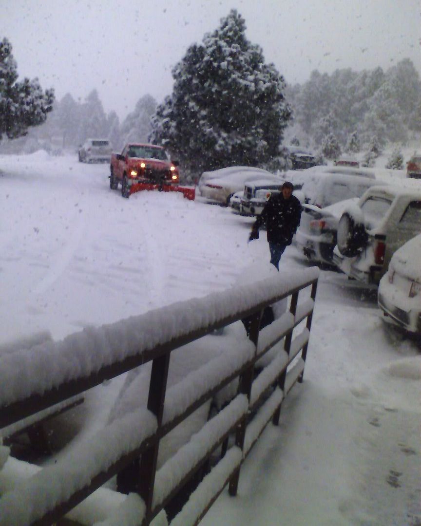 IMAGE: http://i243.photobucket.com/albums/ff172/ghostrider_9/Misc/IMAGE_00023.jpg