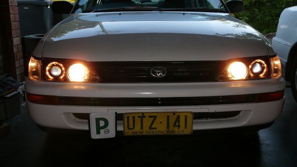 P1060195-1.jpg