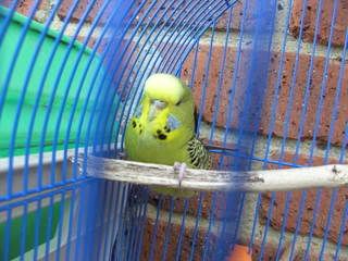 BILD0027.jpg