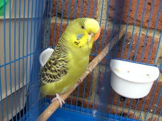 BILD0029.jpg