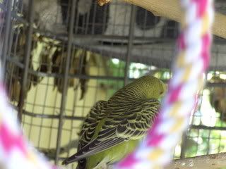 BILD0421.jpg?t=1204516210