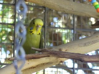 BILD0425.jpg?t=1204516224