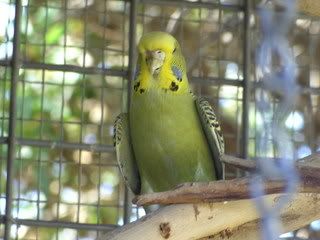 BILD0434.jpg?t=1204516245