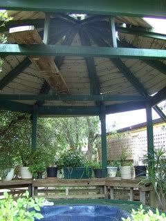 BILD0303.jpg?t=1204177500