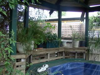 BILD0305.jpg?t=1204177502