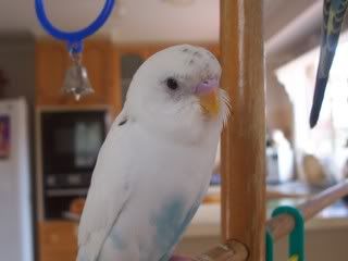 100_7646.jpg