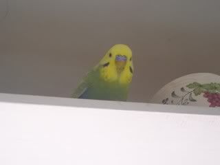 100_7717.jpg