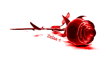 Zulaa
