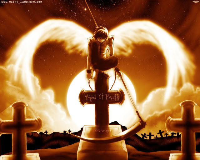 angel wallpaper border. Sunset Angel Wallpaper