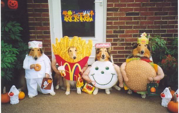Halloween dogs Pictures, Images and Photos
