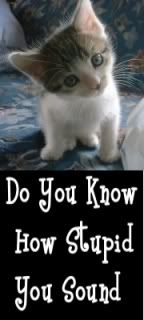 DoYouKnowHowStupidYouSound.jpg