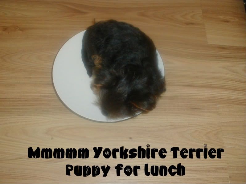 [Image: P1010081-1.jpg]