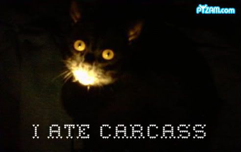 [Image: carcass-3.jpg]