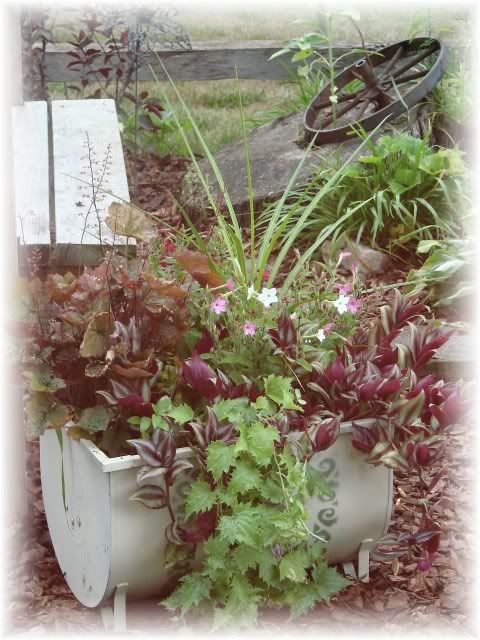 Potted Planter @ Bird Arbor 7.11