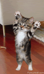 funny_animated_pictures_18.gif Hang-in, Hangin-on, and Hang-in out.:)) image by Ceine53