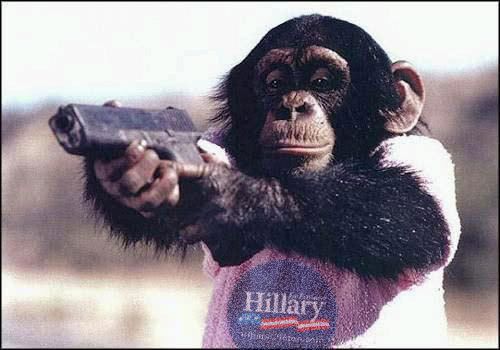 chimpanzee-glock.jpg