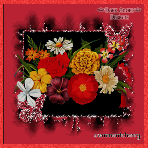 Sexy Myspace Comments