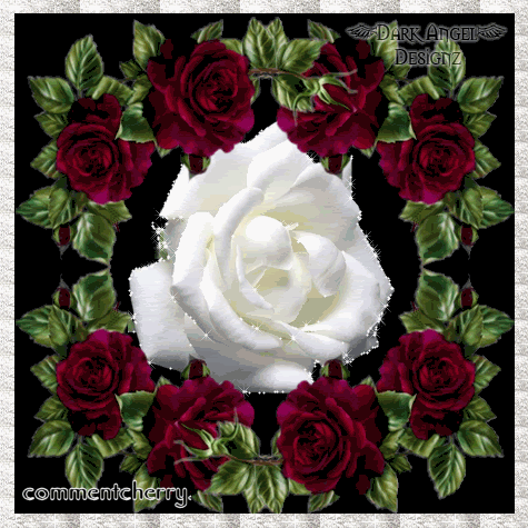 Sexy Myspace Comments