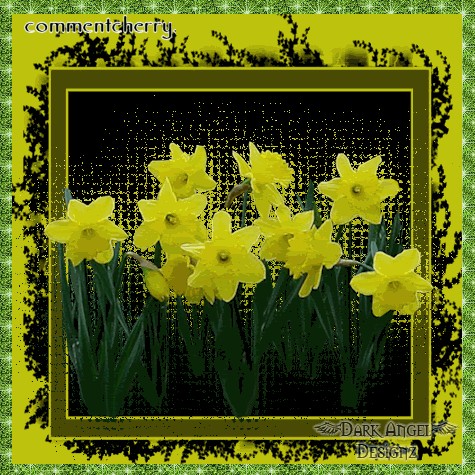 Sexy Myspace Comments