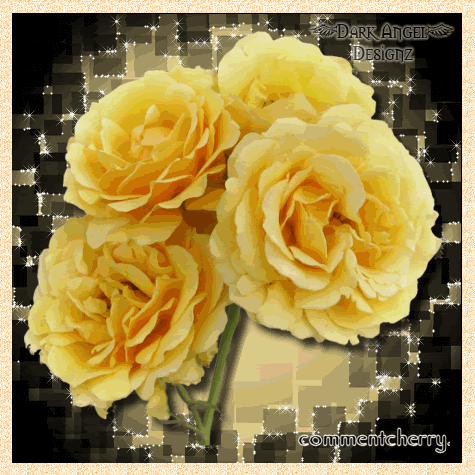 Sexy Myspace Comments