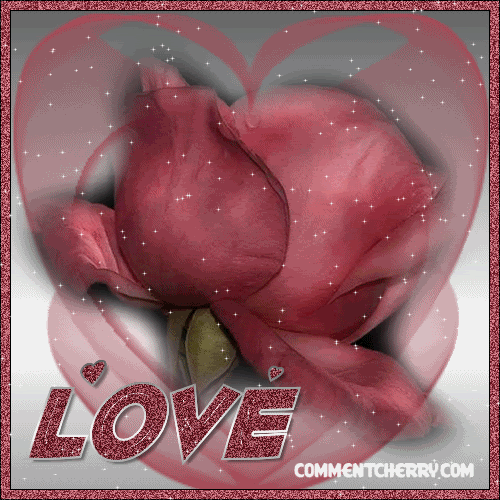 Sexy Myspace Comments