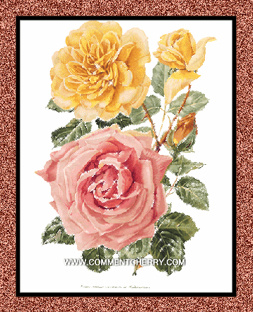 Sexy Myspace Comments