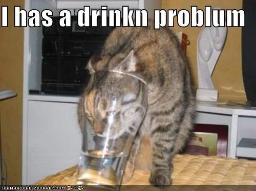 drinkingkitten