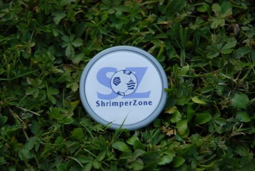 Shrimperzonephotoshoot210-1.jpg