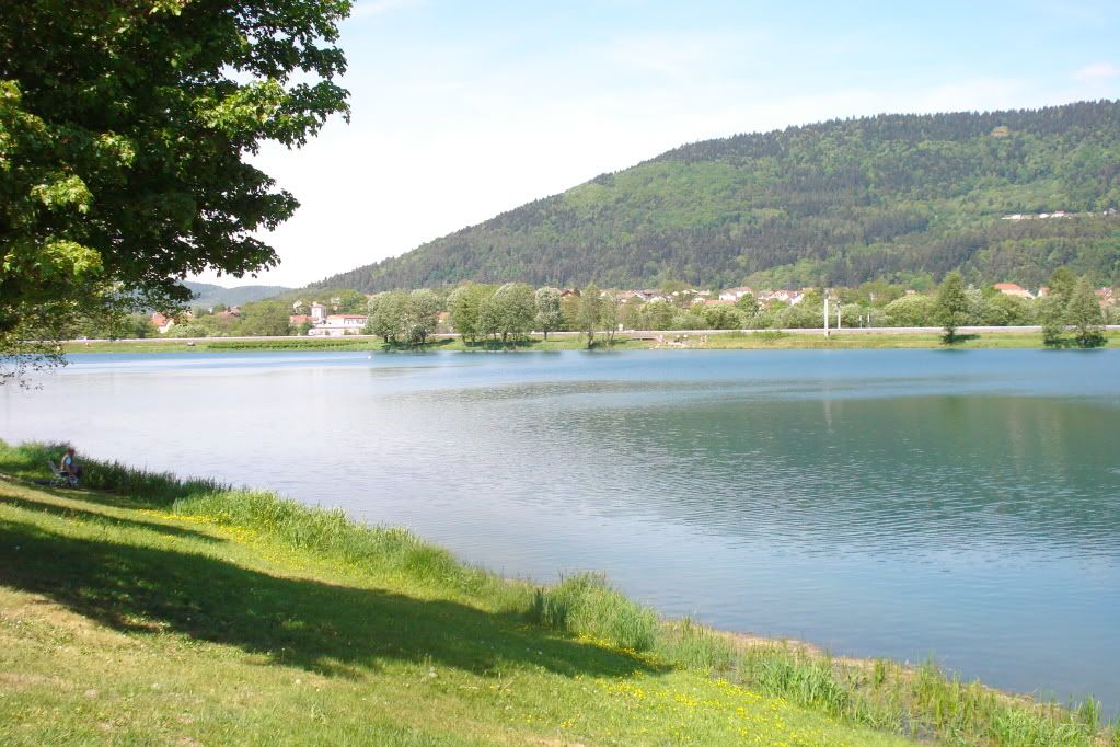 RiverMosel1.jpg