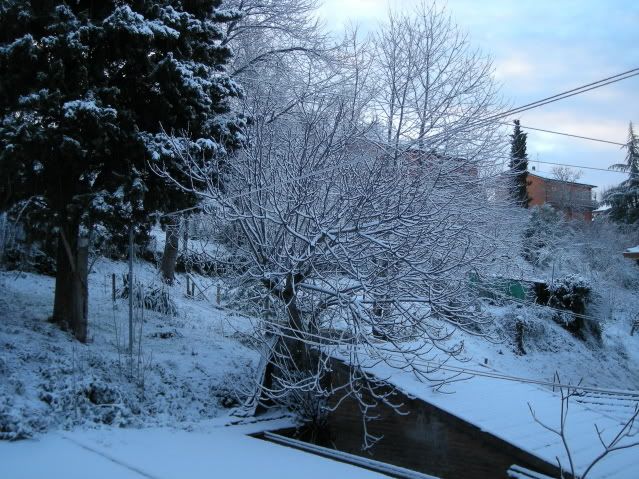 Immagine019.jpg