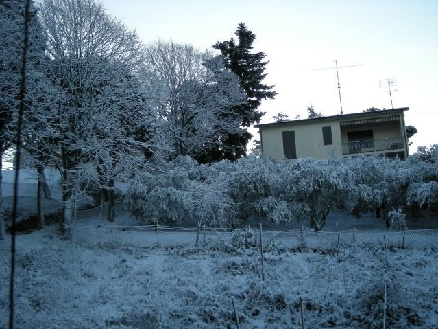 Immagine021.jpg