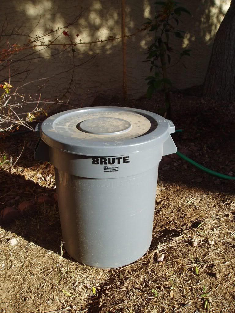 backyard compost container